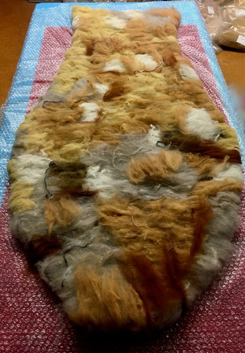 Etruscan Vase - In and Out of Drought – Gentle Roller Company